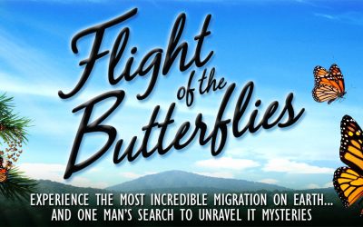 Museu Ciência e Vida recebeu o produtor do filme Fligth of The Butterflies