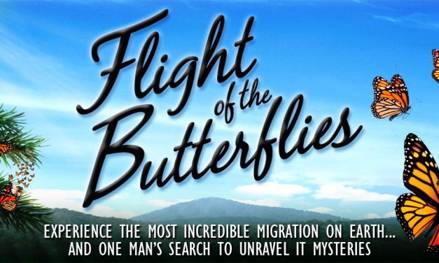 Museu Ciência e Vida recebeu o produtor do filme Fligth of The Butterflies