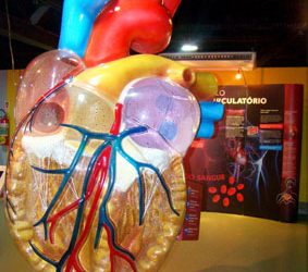 Aberta a agenda/2014 do Museu Ciência e Vida