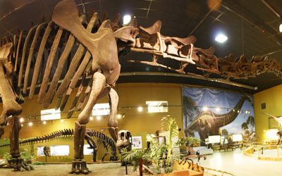 Museu recebe exposição que mistura dinossauro e robótica