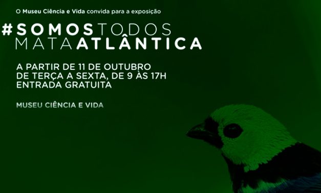 Museu Ciência e Vida inaugura exposição sobre Mata Atlântica