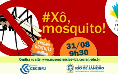 Oficina para professores: Xô Mosquito