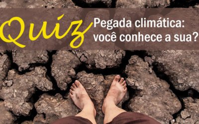 Pegada climática: jogue este quiz e descubra a sua