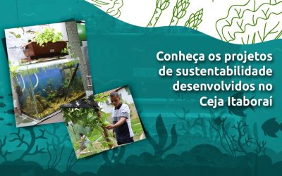 CEJA Itaboraí desenvolve projetos de sustentabilidade