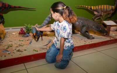 Museu Ciência e Vida celebra o Dia das Crianças com novas exposições e muita diversão