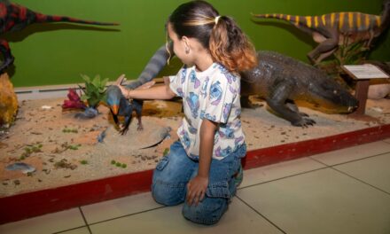 Museu Ciência e Vida celebra o Dia das Crianças com novas exposições e muita diversão